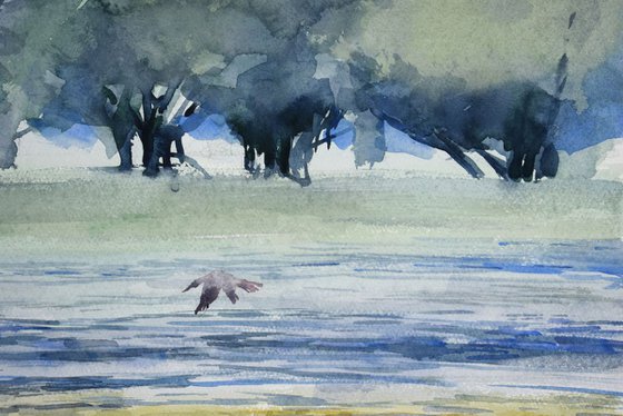 Lake with willows