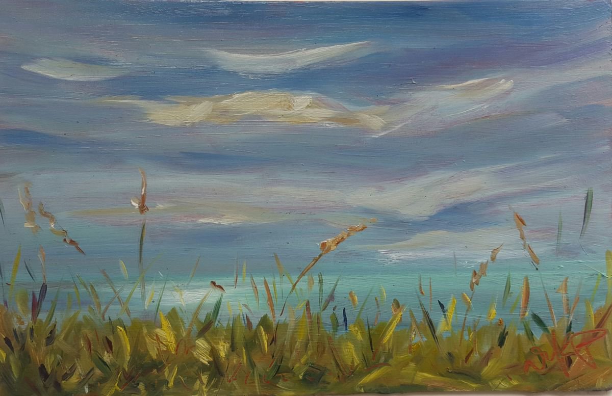 Sunny morning delights on the cliffs - wild grasses and blue seas by Niki Purcell - Irish Landscape Painting