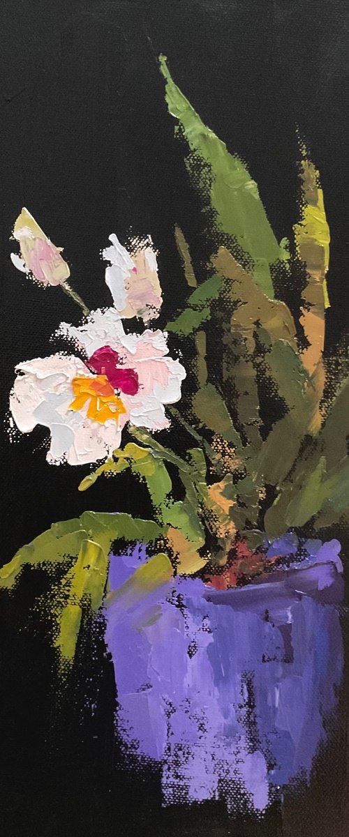 WHITE ORCHID by Vera Klimova