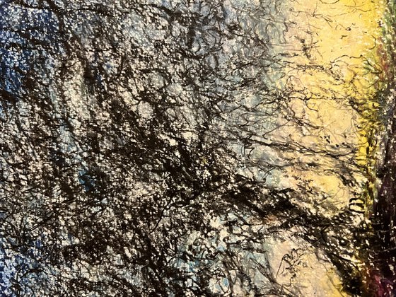 Glow of the Setting Sun