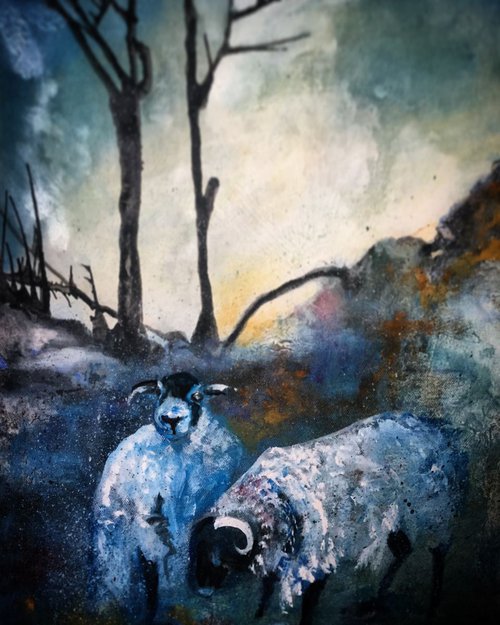 Sheep in winter by Carole Ann Hall