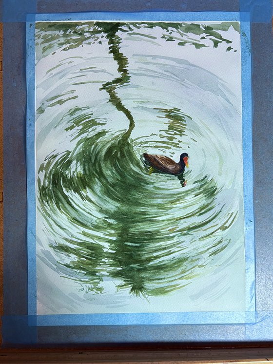 Duck swimming in palm tree reflection