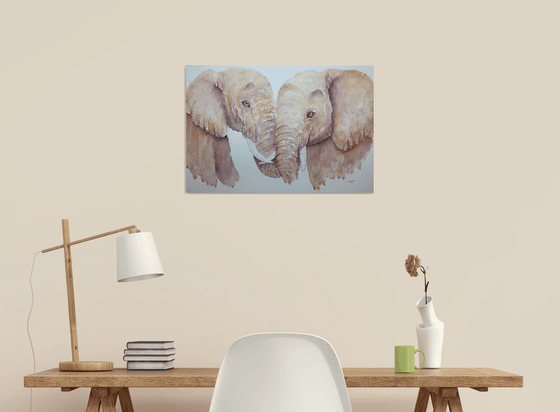 Elephant couple