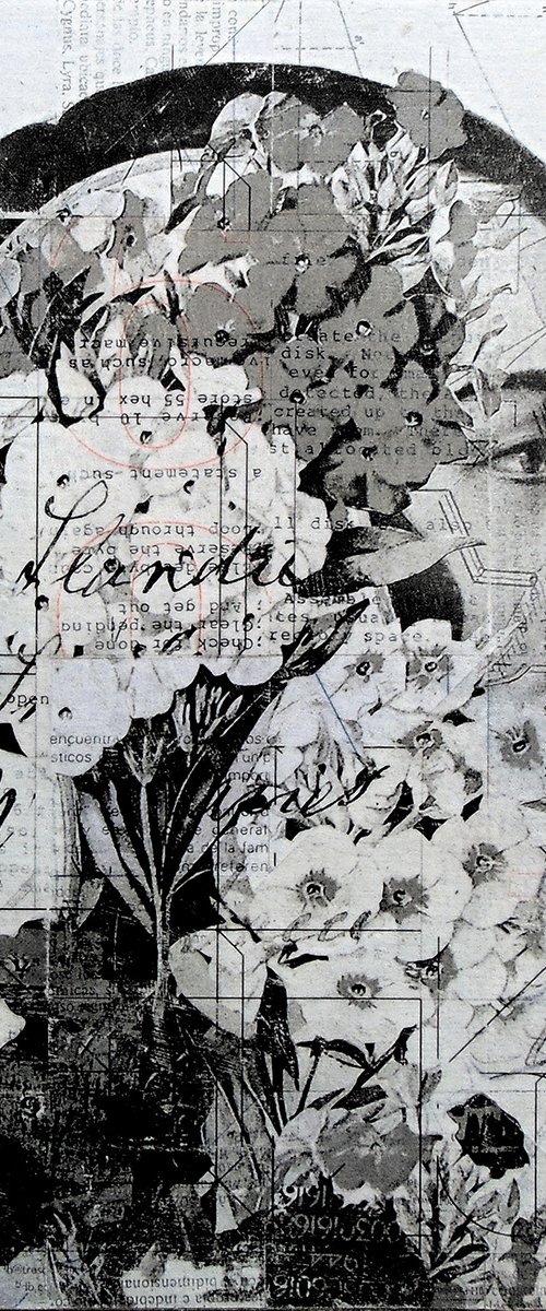 Collage_15_30x30 cm_Bouquet by Manel Villalonga