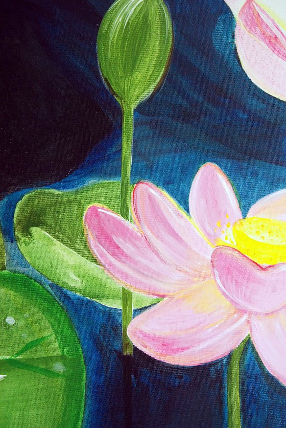 Lotus of Bali