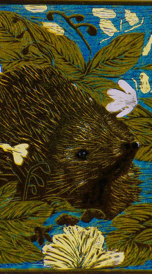 Hedgehog 1 by Gill Bedson