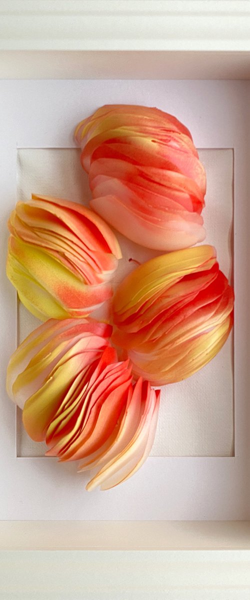 Bloom in spring by Swapna Namboodiri