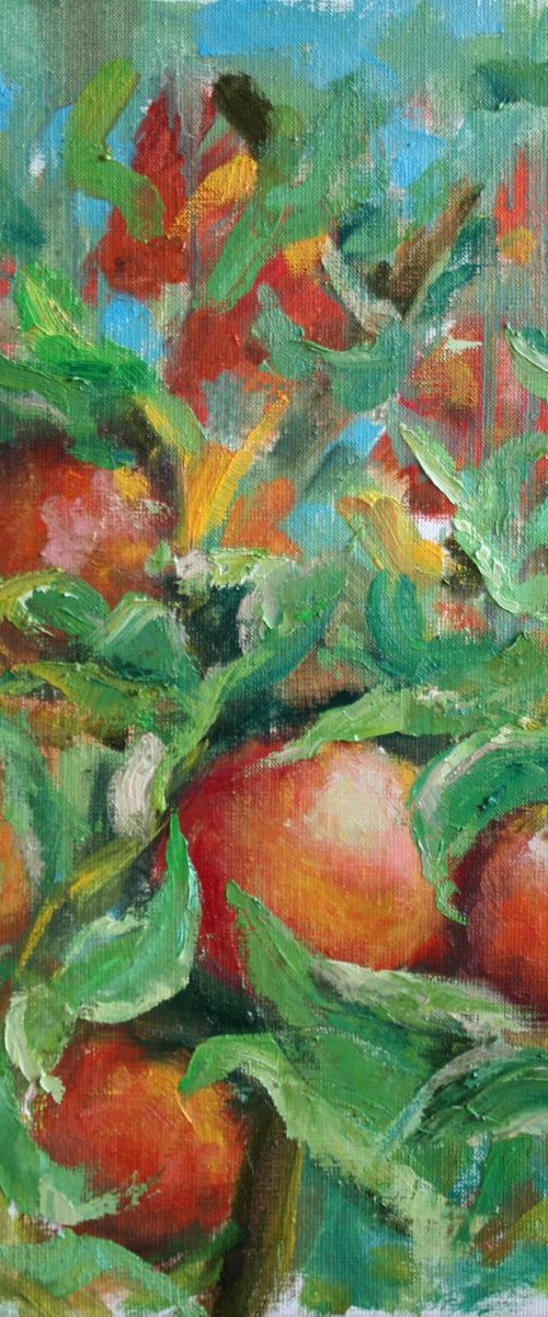 Apples /  ORIGINAL PAINTING by Salana Art Gallery