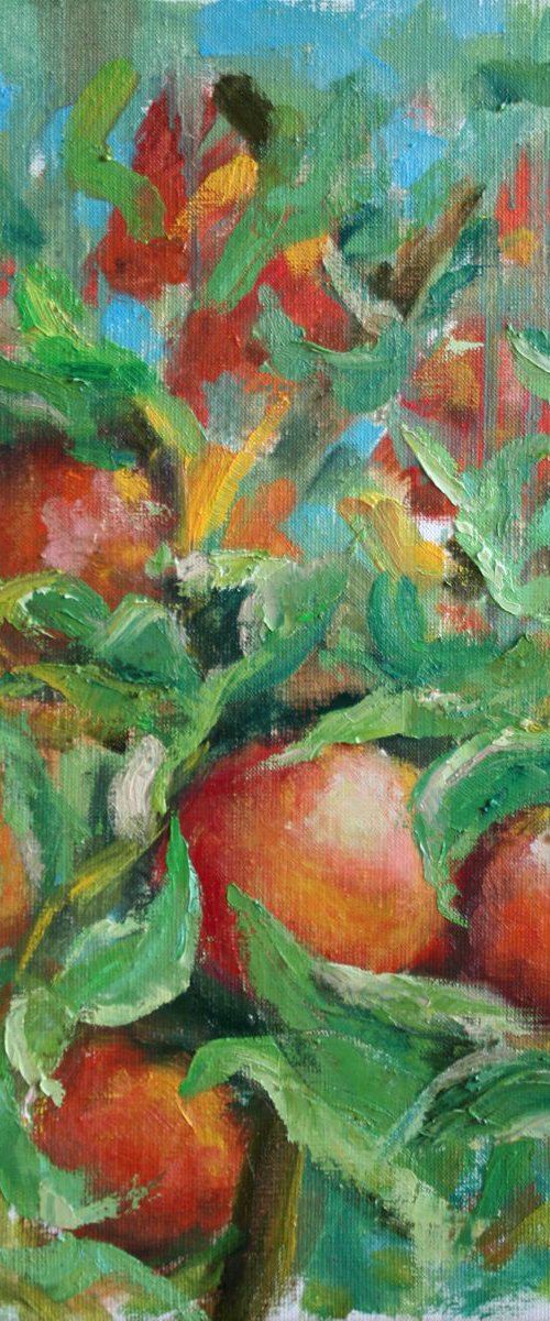 Apples /  ORIGINAL PAINTING by Salana Art / Svetlana Samovarova