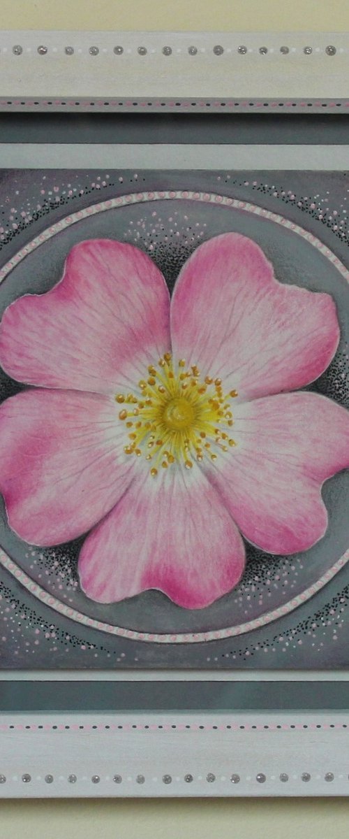 Wild Rose Mandala by Lorraine Sadler