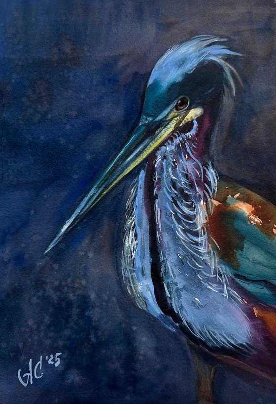 Agami Heron