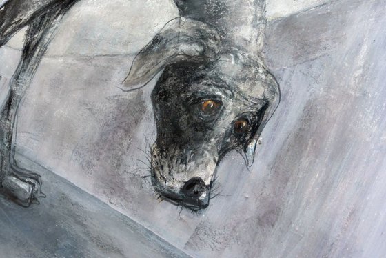 A grey dog, on a grey day, under the Mancunian Way.