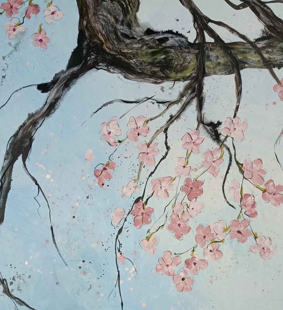 Cherry Blossom Blue