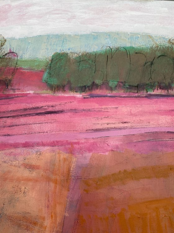 Quiet Field with Pink