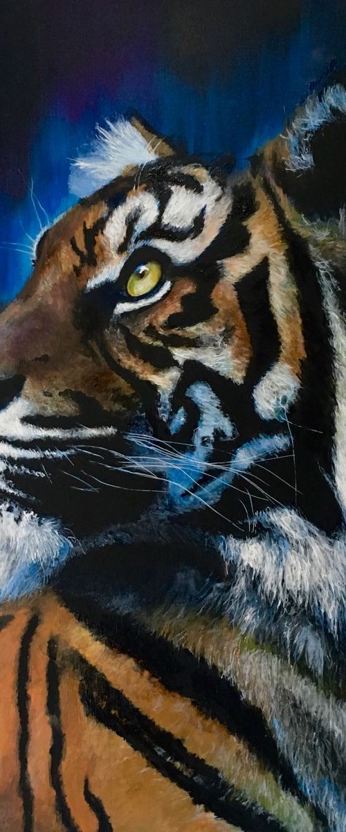 Blue/black Tiger by Paul Hardern
