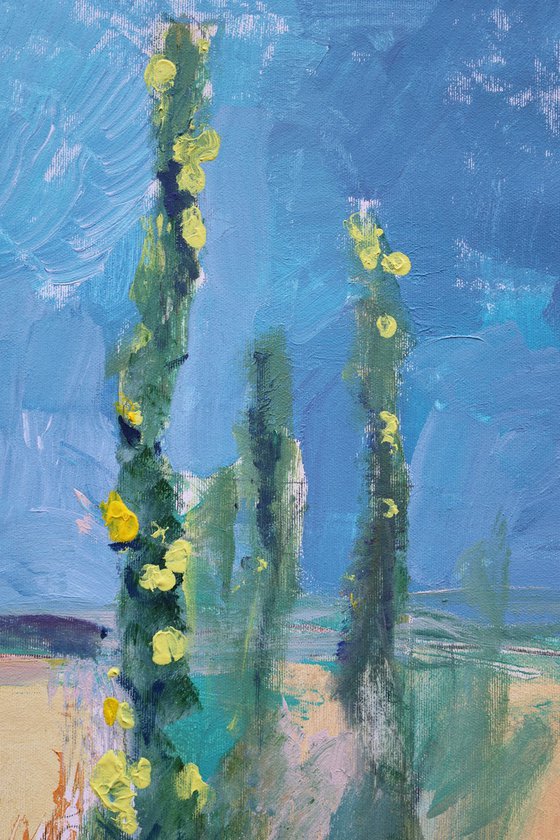 Wild Meadow