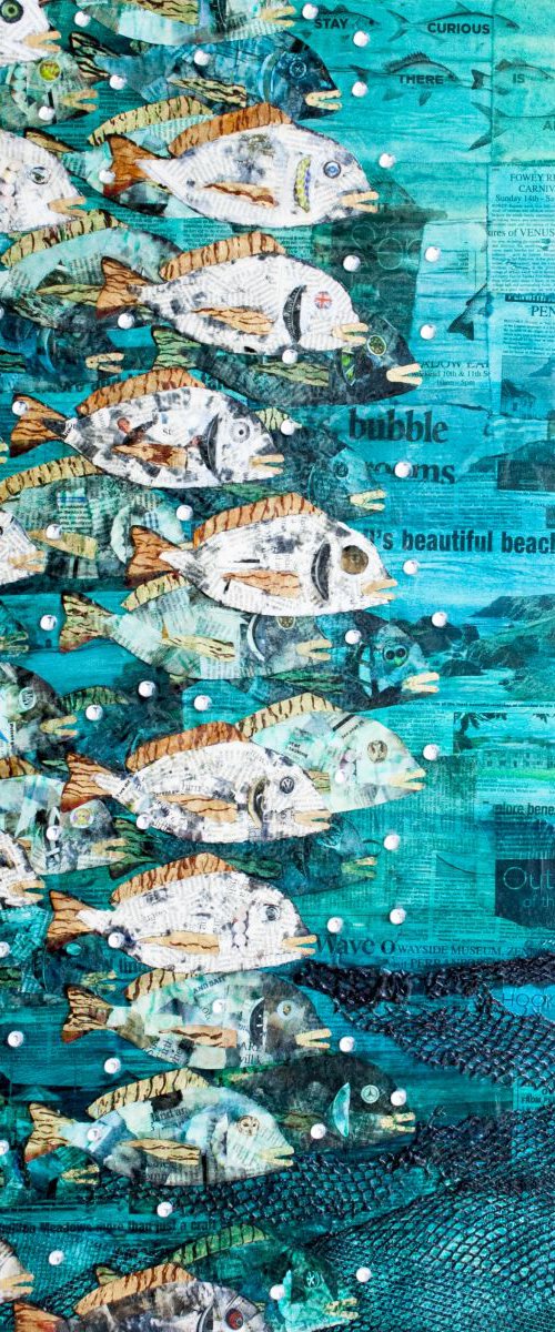 Weird Fish by Jackie Ward