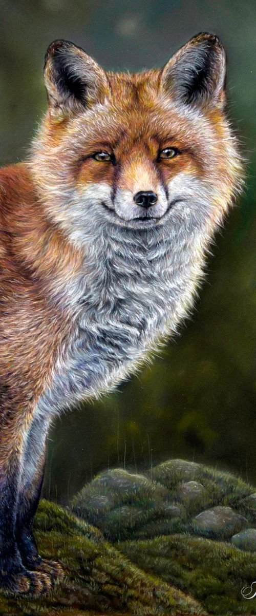 Smiling fox by Tatjana Bril