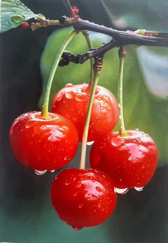 Cherry on the branches t296