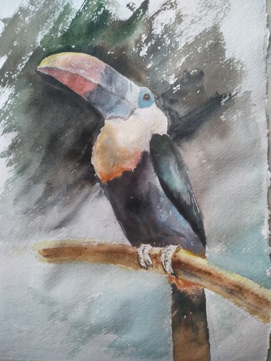 Birds by Nata New