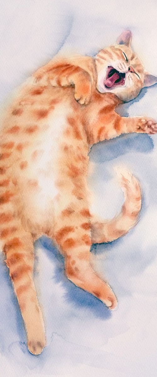 Yawning Ginger Cat  - red cat by Olga Beliaeva Watercolour