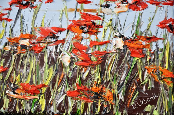 A Meadow Full Of Poppies 3
