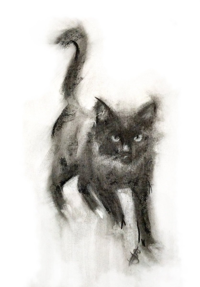 Impressionistic Animal Charcoal Drawing By Sbboursot, 8 X 12", Here I Come, Original Artwork