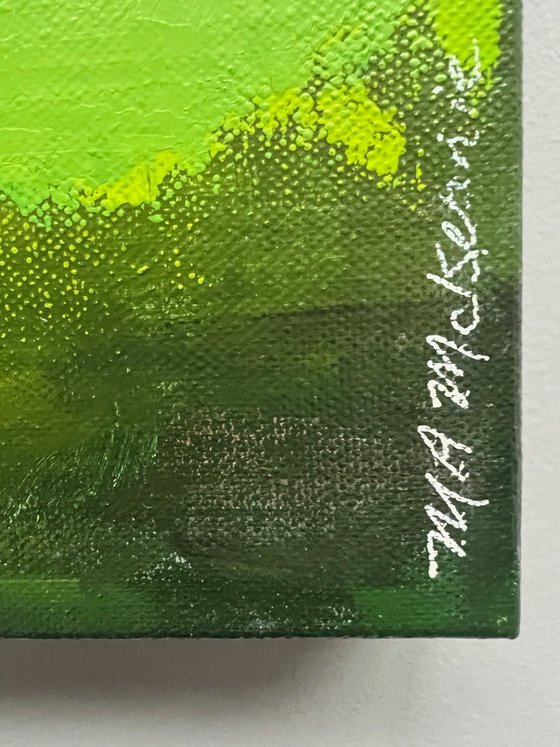 California Flannel Bush