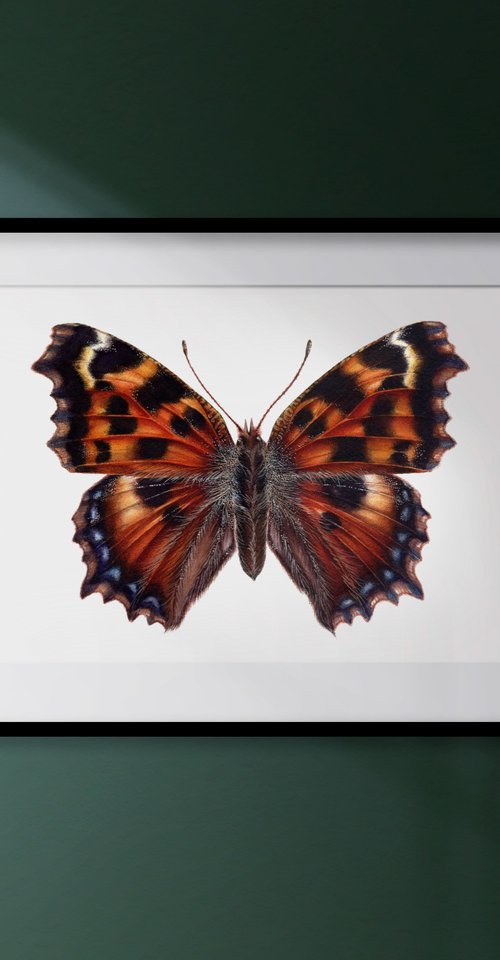 Nymphalis polychloros by Katya Shiova