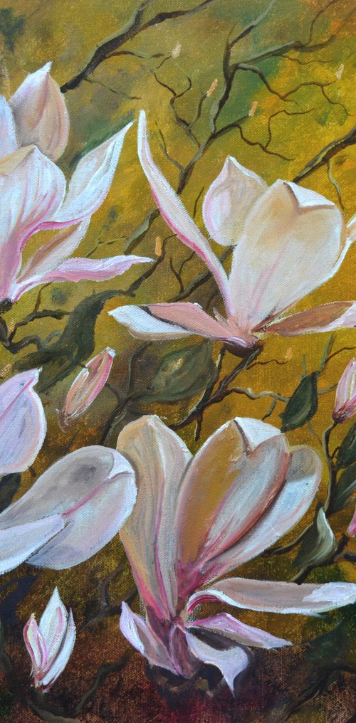 Magnolia by Pol Henry Ledent