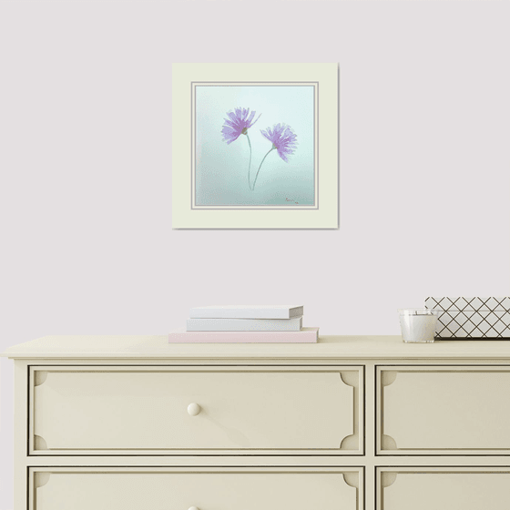 Flowers 17