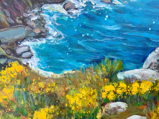 Cornish Cove