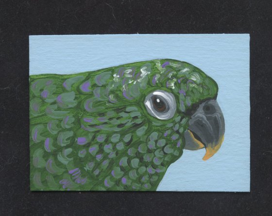 ACEO ATC Original Miniature Painting Maximilian Pionus Parrot Pet Bird Art-Carla Smale