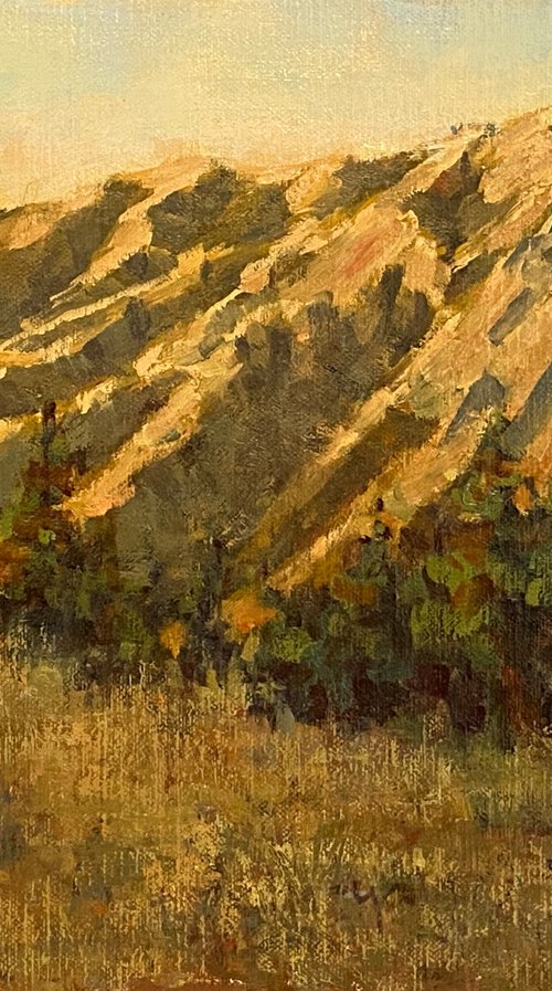 Golden Hills Sunset by Tatyana Fogarty