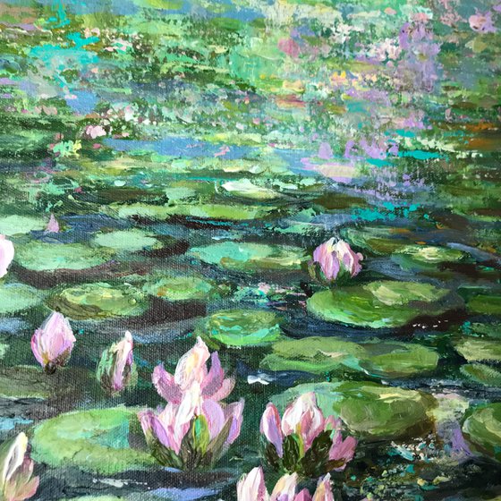 Lilly  Pond no6