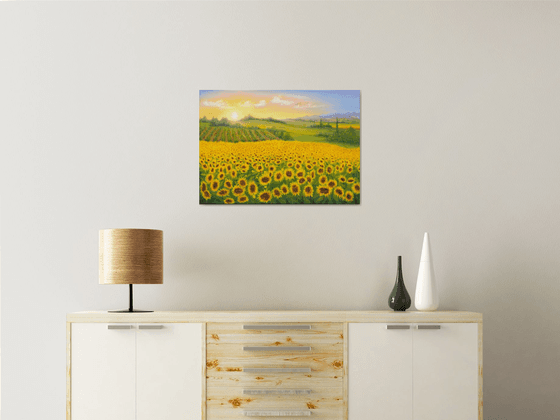 Sunrise on sunflowers