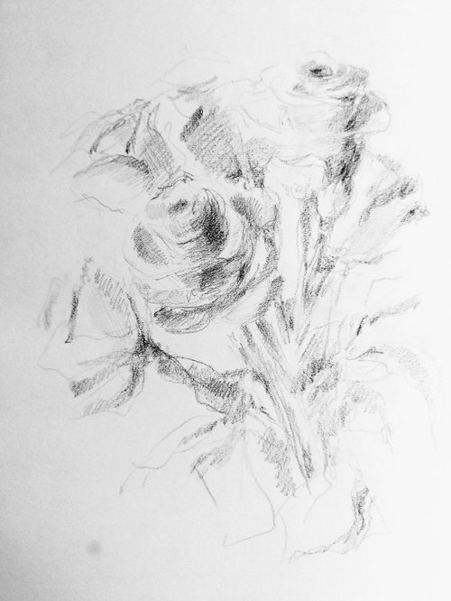 Roses #5. Original pencil drawing by Yury Klyan