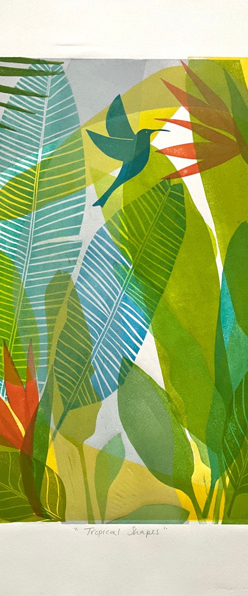 Tropical Shapes by Alison  Headley