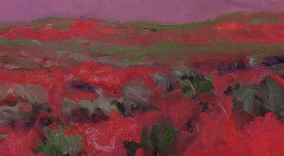 Evening in High Deserts