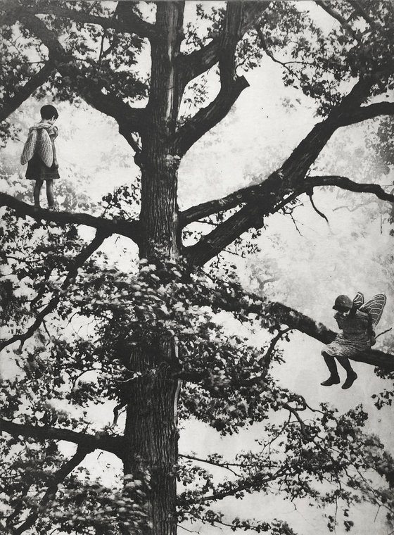 Exterior No.20: Whizzing through The Woods