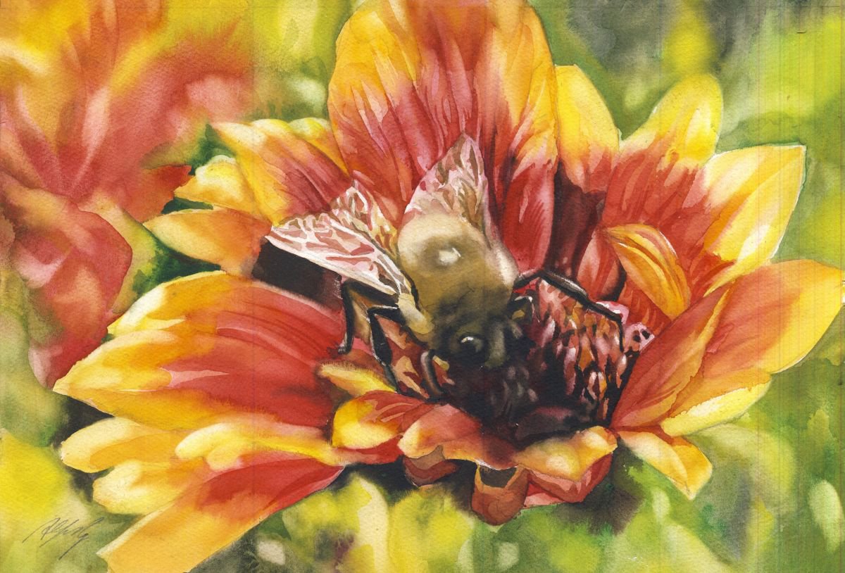 bee in the blanket by Alfred Ng