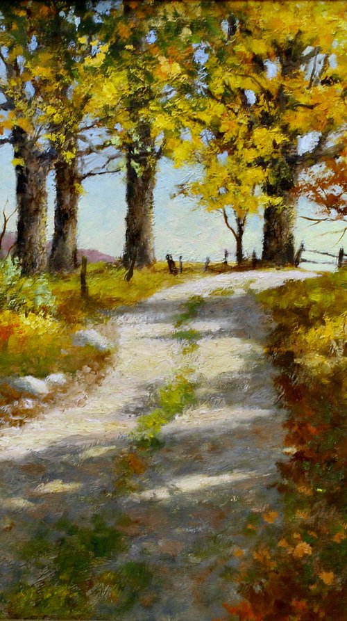 Old back road by Gary Shepard