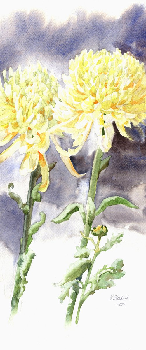 Ukrainian watercolour. Autumn. Chrysanthemums by Nina Zakharova