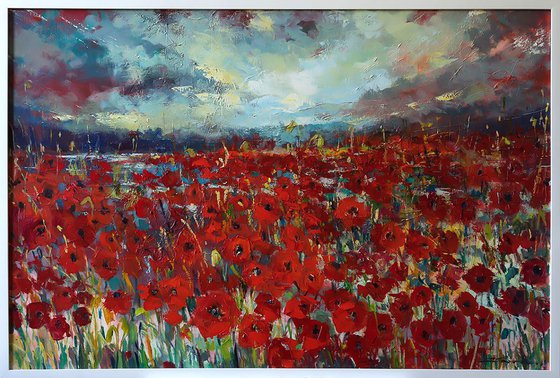 'Poppies Valley'