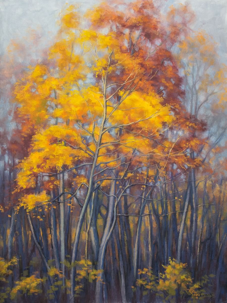 Autumn Forest, 2 by Fiona Craig