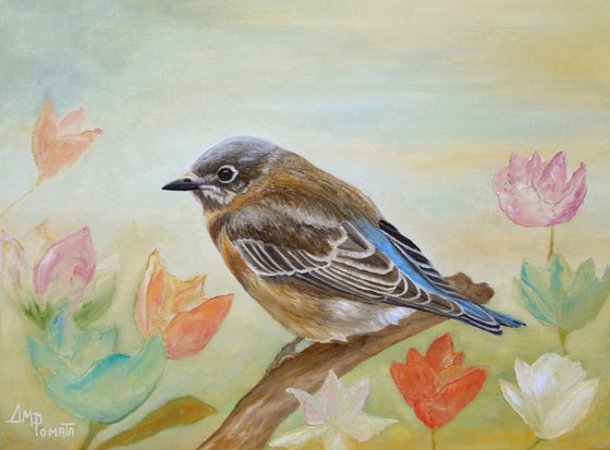 Bluebird On A Sunny Day
