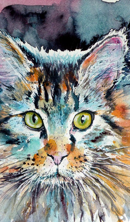 Cute big cat by Kovács Anna Brigitta