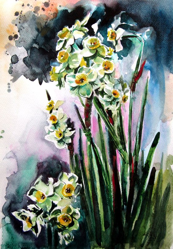 Narcissus florals