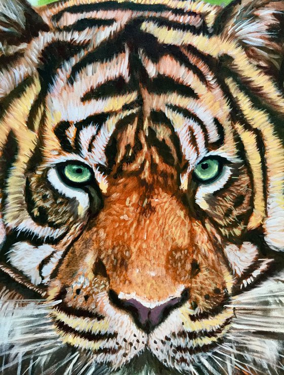 Tiger . Green eyes.