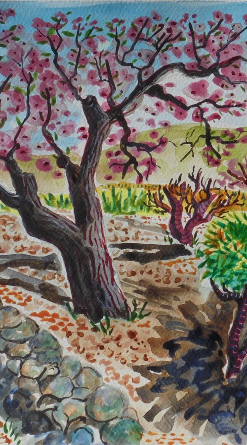 Almond blossom tree study by Kirsty Wain